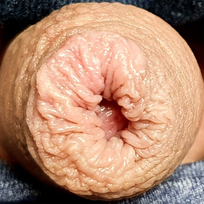 Close up of flaccid uncut cock